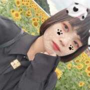 ヒメ日記 2025/11/07 05:32 投稿 ひまわり アイドルチェッキーナ本店