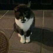 ヒメ日記 2025/11/07 17:42 投稿 ひまわり アイドルチェッキーナ本店