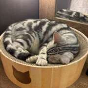 ヒメ日記 2026/04/05 18:16 投稿 ふうか ハンドキャンパス池袋