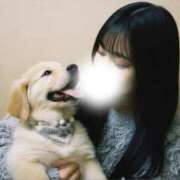 ヒメ日記 2026/02/05 12:41 投稿 しゅう SPIN(スピン)