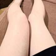 ヒメ日記 2025/07/12 08:33 投稿 ききょう シークレットタッチ