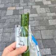 ヒメ日記 2025/08/03 16:49 投稿 ききょう シークレットタッチ