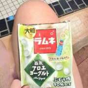 ヒメ日記 2025/10/10 13:04 投稿 ききょう シークレットタッチ