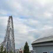 ヒメ日記 2025/10/10 15:36 投稿 ききょう シークレットタッチ