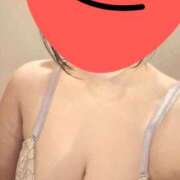 ヒメ日記 2025/10/15 07:22 投稿 ききょう シークレットタッチ