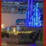 ヒメ日記 2025/12/28 22:55 投稿 ききょう シークレットタッチ