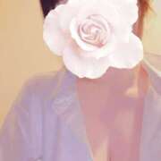 ヒメ日記 2026/02/12 07:22 投稿 ききょう シークレットタッチ