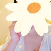 ヒメ日記 2026/02/15 07:23 投稿 ききょう シークレットタッチ