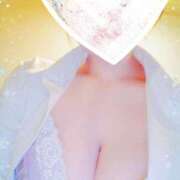 ヒメ日記 2026/02/19 07:26 投稿 ききょう シークレットタッチ