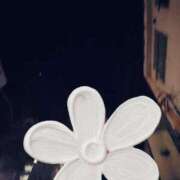 ヒメ日記 2026/02/19 22:55 投稿 ききょう シークレットタッチ