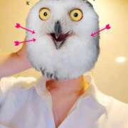 ヒメ日記 2026/02/23 07:22 投稿 ききょう シークレットタッチ