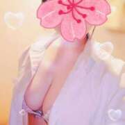 ヒメ日記 2026/04/01 07:17 投稿 ききょう シークレットタッチ