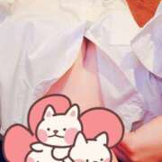 ヒメ日記 2026/04/20 07:11 投稿 ききょう シークレットタッチ