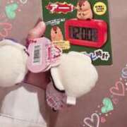 ヒメ日記 2026/05/05 18:35 投稿 ききょう シークレットタッチ