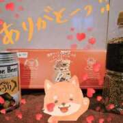 ヒメ日記 2026/09/12 12:00 投稿 ききょう シークレットタッチ