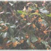 ヒメ日記 2025/11/01 22:48 投稿 大宮校ゆうり クンニ専門店 おクンニ学園 池袋校