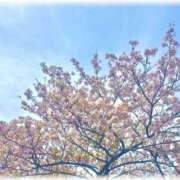 大宮校ゆうり ??0417?? クンニ専門店 おクンニ学園 池袋校