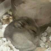 ヒメ日記 2025/07/31 19:26 投稿 まみ 千葉人妻花壇