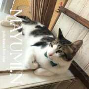 ヒメ日記 2025/07/20 09:00 投稿 長澤　まゆみ YOKOHAMA FIVESTAR（横浜ファイブスター）