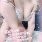 ヒメ日記 2025/11/07 08:30 投稿 あすか アクアマリン