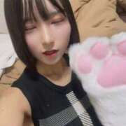 ヒメ日記 2025/09/20 12:19 投稿 おとめ サティアンまーと