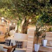 ヒメ日記 2025/07/26 17:14 投稿 如月　りおん しこたま奥様　熊本店