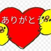 ヒメ日記 2025/08/12 16:04 投稿 如月　りおん しこたま奥様　熊本店