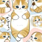 ヒメ日記 2026/02/21 08:24 投稿 如月　りおん しこたま奥様　熊本店