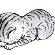 ヒメ日記 2026/02/23 08:24 投稿 如月　りおん しこたま奥様　熊本店