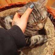 ヒメ日記 2025/09/16 17:53 投稿 さくや ドM女学園大阪