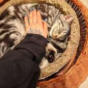 ヒメ日記 2025/09/22 03:15 投稿 さくや ドM女学園大阪