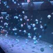 ヒメ日記 2025/10/21 03:15 投稿 さくや ドM女学園大阪