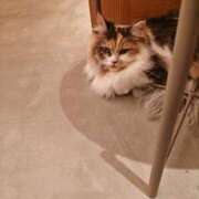 ヒメ日記 2025/12/02 20:48 投稿 さくや ドM女学園大阪