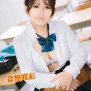 ヒメ日記 2026/03/06 23:40 投稿 音無咲彩 ゴールドクイーン(雄琴)