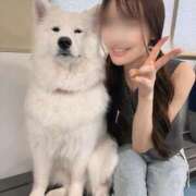 ヒメ日記 2025/08/12 21:15 投稿 夏目叶夢 ゴールドクイーン(雄琴)