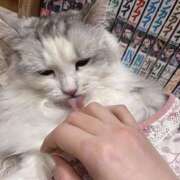 ヒメ日記 2026/01/04 10:40 投稿 夏目叶夢 ゴールドクイーン