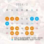 ヒメ日記 2026/02/20 15:20 投稿 夏目叶夢 ゴールドクイーン