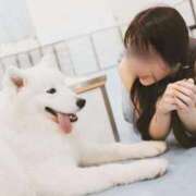 ヒメ日記 2026/03/19 14:50 投稿 夏目叶夢 ゴールドクイーン(雄琴)