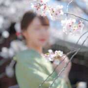 ヒメ日記 2026/04/07 19:05 投稿 夏目叶夢 ゴールドクイーン(雄琴)