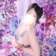 ヒメ日記 2025/07/09 09:11 投稿 愛蝶エレン ゴールドクイーン