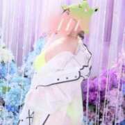 ヒメ日記 2025/08/11 09:36 投稿 愛蝶エレン ゴールドクイーン