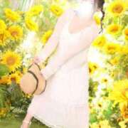 ヒメ日記 2025/08/12 12:20 投稿 愛蝶エレン ゴールドクイーン