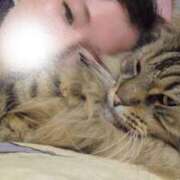 ヒメ日記 2025/08/13 13:20 投稿 愛蝶エレン ゴールドクイーン