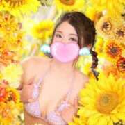 ヒメ日記 2025/09/13 19:20 投稿 愛蝶エレン ゴールドクイーン