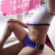 ヒメ日記 2025/10/14 12:50 投稿 愛蝶エレン ゴールドクイーン