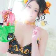 ヒメ日記 2025/10/24 19:50 投稿 愛蝶エレン ゴールドクイーン