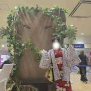 ヒメ日記 2025/11/12 17:00 投稿 愛蝶エレン ゴールドクイーン