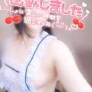 ヒメ日記 2025/11/26 11:10 投稿 愛蝶エレン ゴールドクイーン