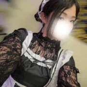 ヒメ日記 2025/12/02 20:20 投稿 愛蝶エレン ゴールドクイーン