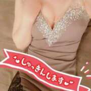 ヒメ日記 2025/12/09 10:33 投稿 愛蝶エレン ゴールドクイーン